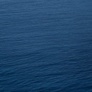 Meet your Posher, Meghan